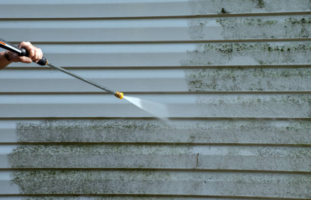 Best Driveway Pressure Washing  in Garden Grove, FL